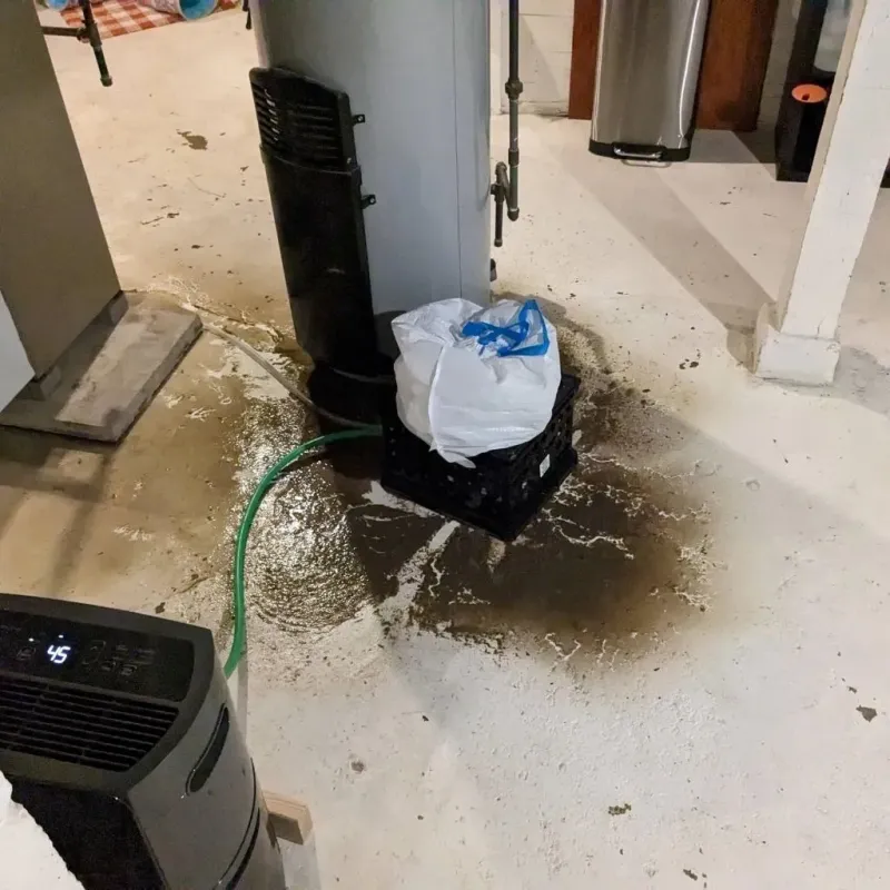 Sewage Backup Cleanup Service in Claycomo, MO